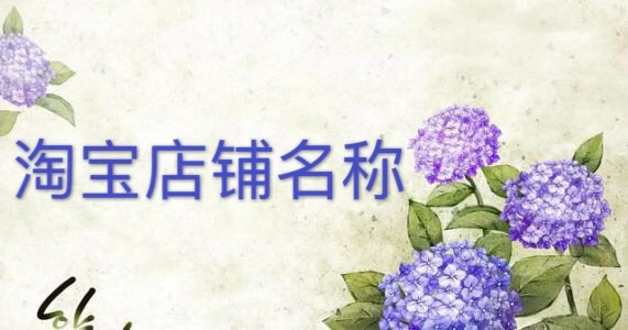 淘寶開(kāi)店名稱(chēng)可以帶符號(hào)嗎